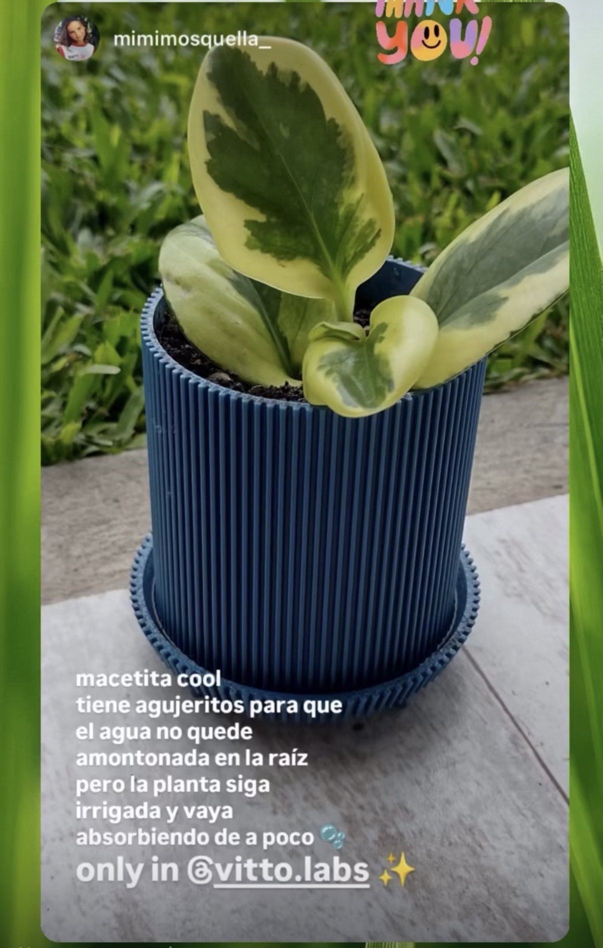 Maceta personalizada